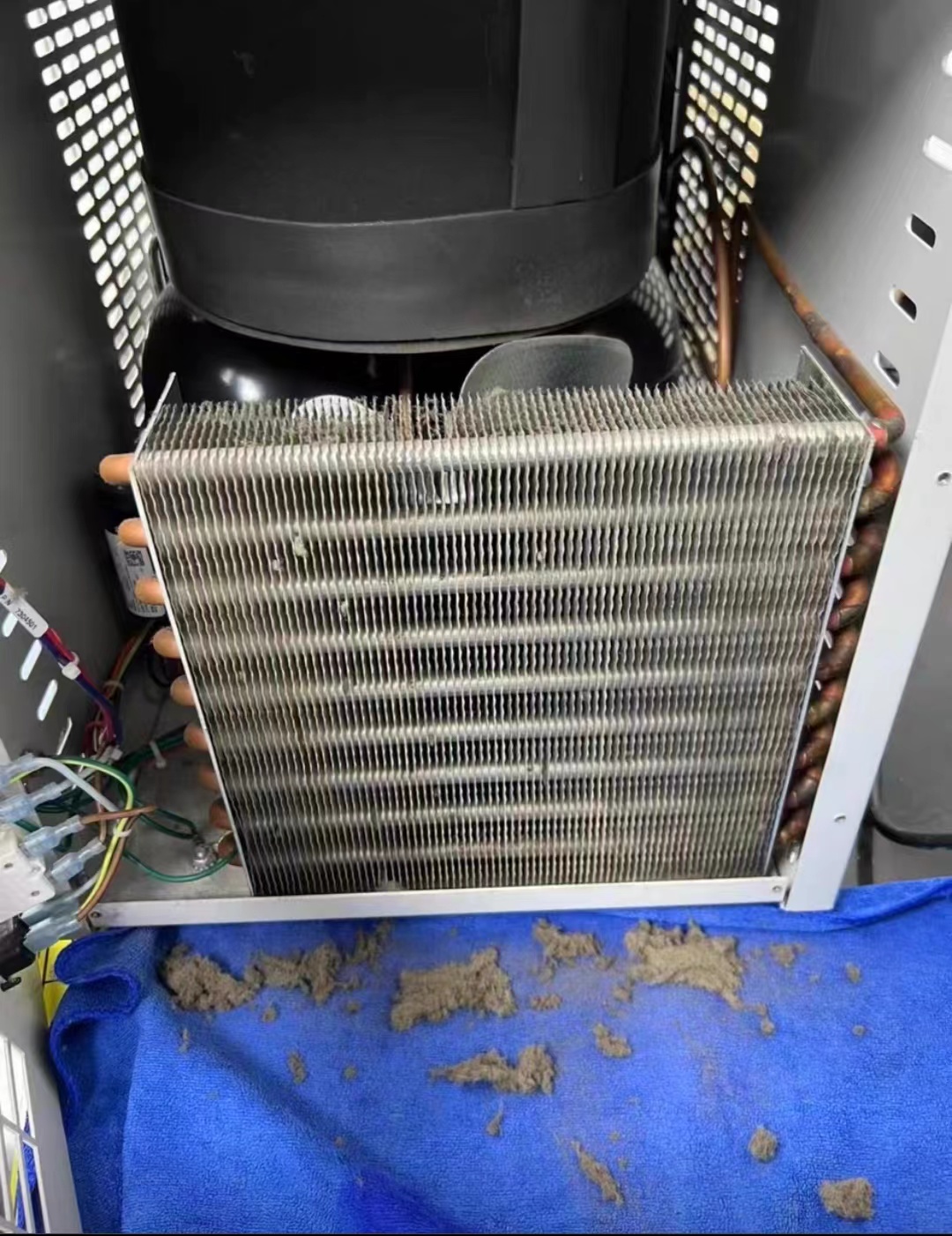 Labconco FreeZone® 冷冻干燥机运行噪音大及冻干效果差的原因与解决方法