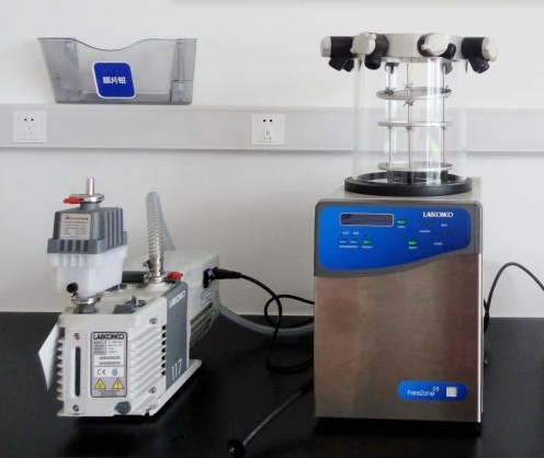 Labconco冻干机的真空泵出现故障时应该如何进行初步诊断？